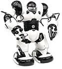 small picture of robosapien